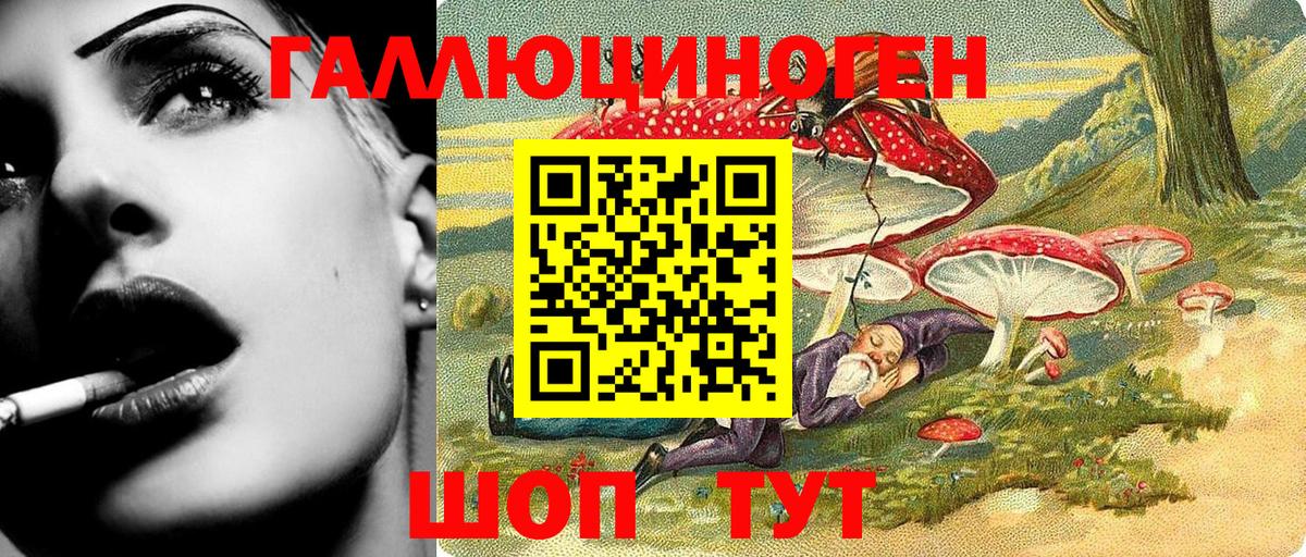 Сегежа  Галлюциногенные грибы Psilocybe  Вход с VPN 