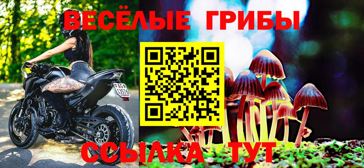 Галлюциногенные грибы MAGIC MUSHROOMS Сегежа